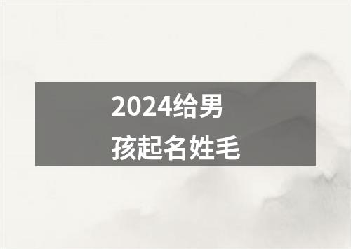 2024给男孩起名姓毛