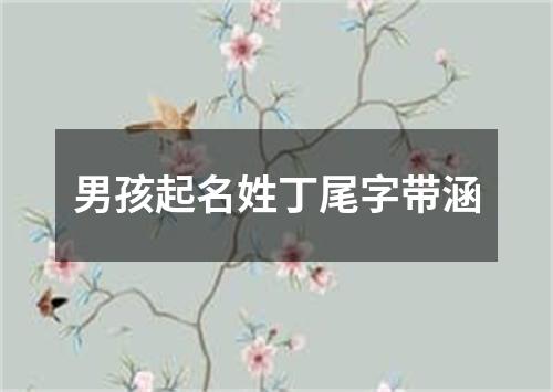 男孩起名姓丁尾字带涵