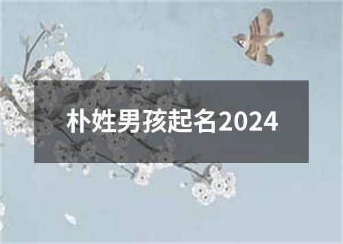 朴姓男孩起名2024