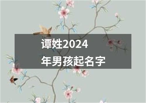 谭姓2024年男孩起名字