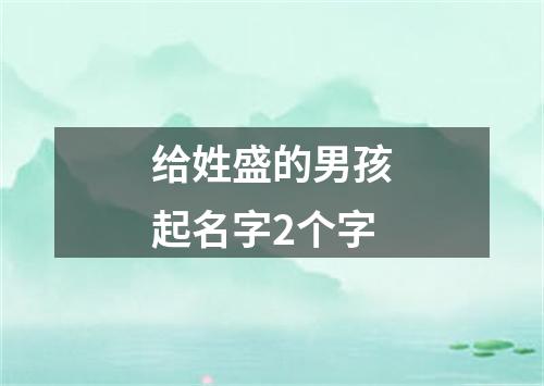 给姓盛的男孩起名字2个字