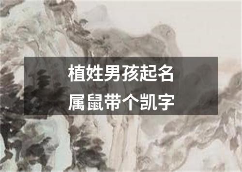 植姓男孩起名属鼠带个凯字