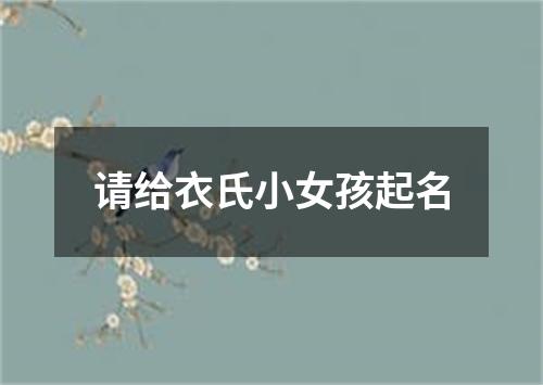 请给衣氏小女孩起名