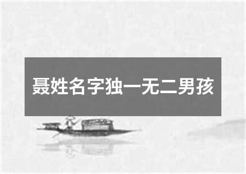 聂姓名字独一无二男孩