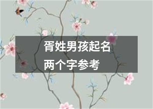 胥姓男孩起名两个字参考