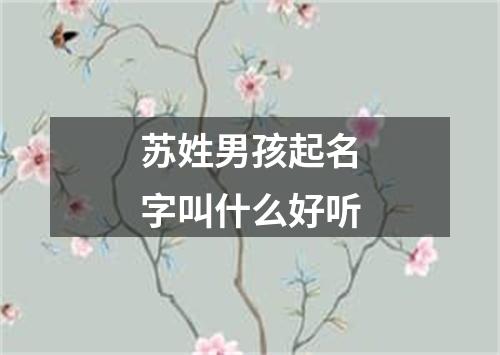 苏姓男孩起名字叫什么好听