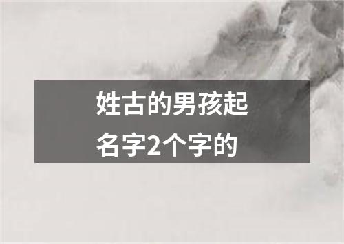 姓古的男孩起名字2个字的