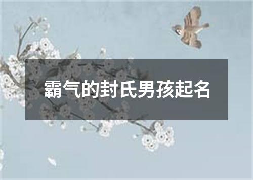 霸气的封氏男孩起名