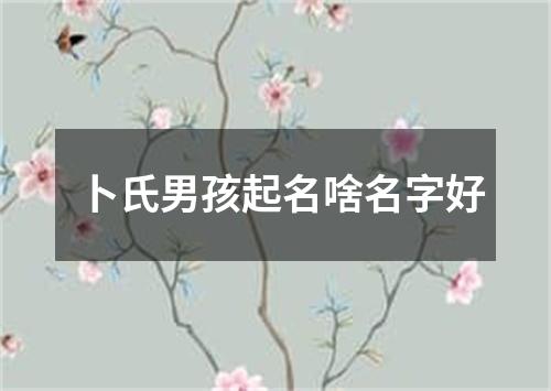 卜氏男孩起名啥名字好