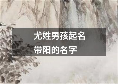 尤姓男孩起名带阳的名字