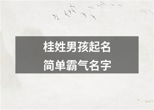 桂姓男孩起名简单霸气名字