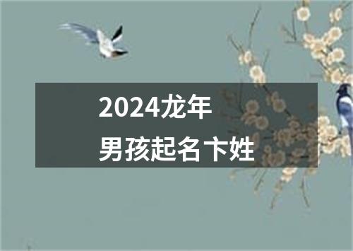 2024龙年男孩起名卞姓