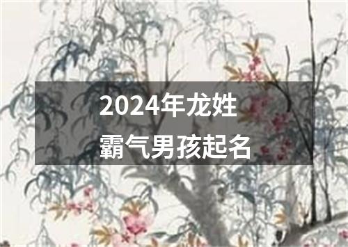 2024年龙姓霸气男孩起名