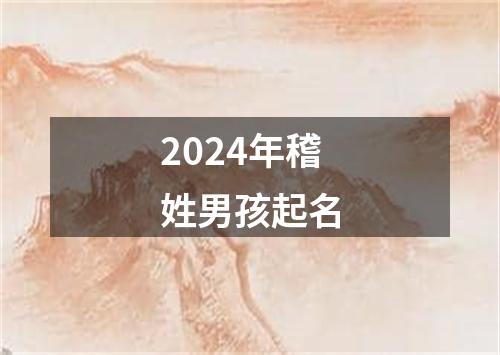 2024年稽姓男孩起名