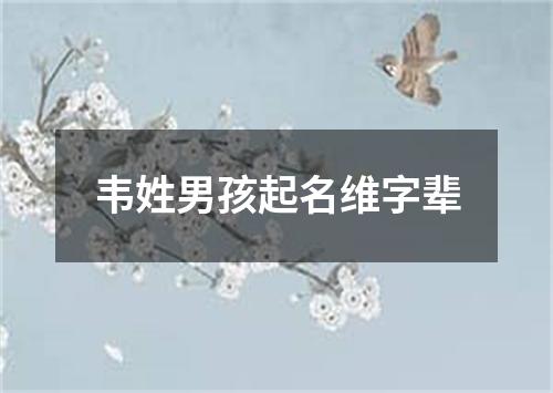 韦姓男孩起名维字辈