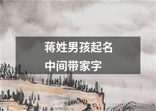 蒋姓男孩起名中间带家字