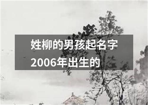 姓柳的男孩起名字2006年出生的