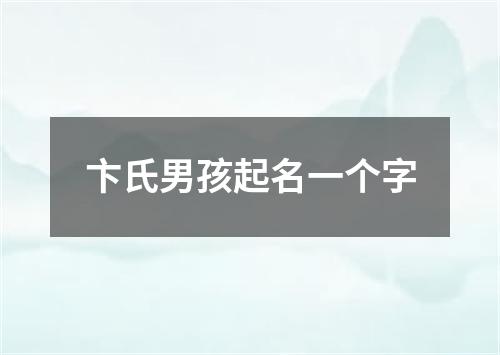 卞氏男孩起名一个字