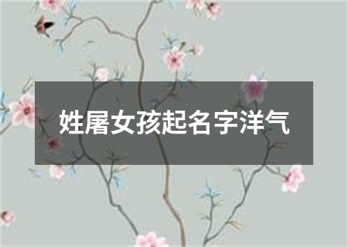 姓屠女孩起名字洋气