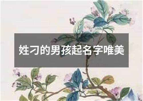 姓刁的男孩起名字唯美