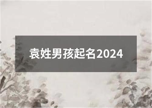 袁姓男孩起名2024