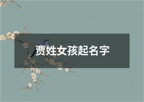 贾姓女孩起名字