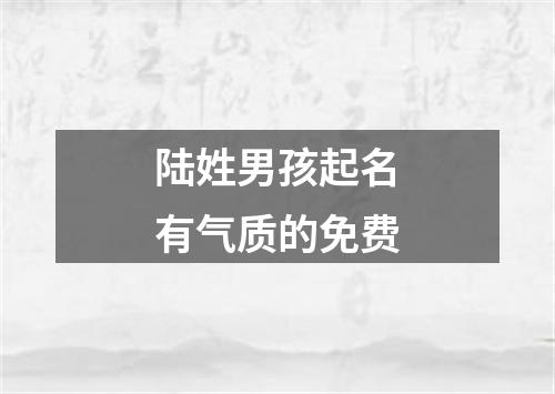 陆姓男孩起名有气质的免费