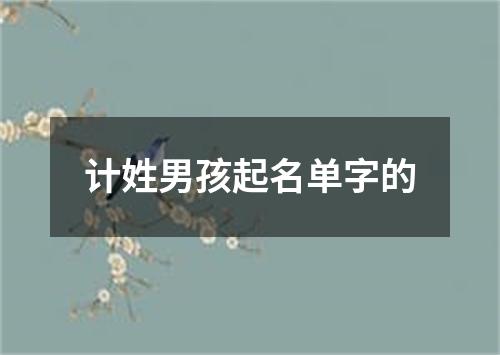 计姓男孩起名单字的