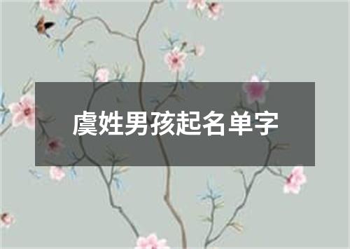 虞姓男孩起名单字