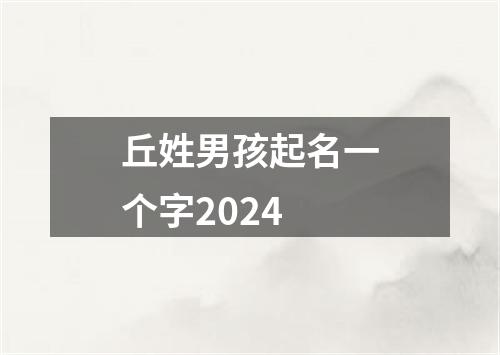 丘姓男孩起名一个字2024