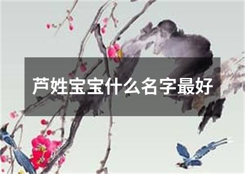 芦姓宝宝什么名字最好