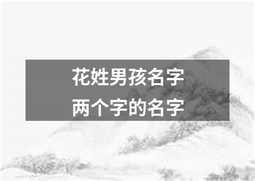 花姓男孩名字两个字的名字