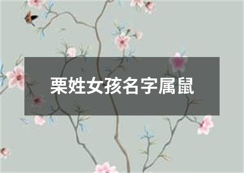 栗姓女孩名字属鼠