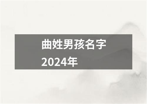 曲姓男孩名字2024年