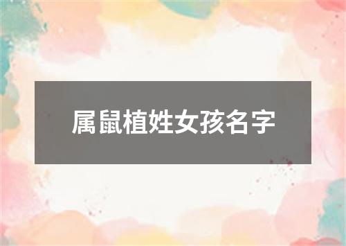 属鼠植姓女孩名字