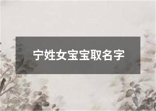 宁姓女宝宝取名字