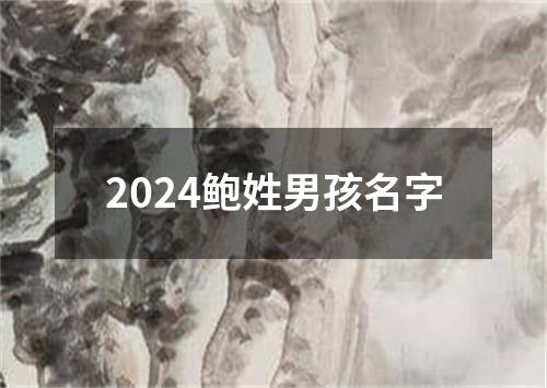 2024鲍姓男孩名字