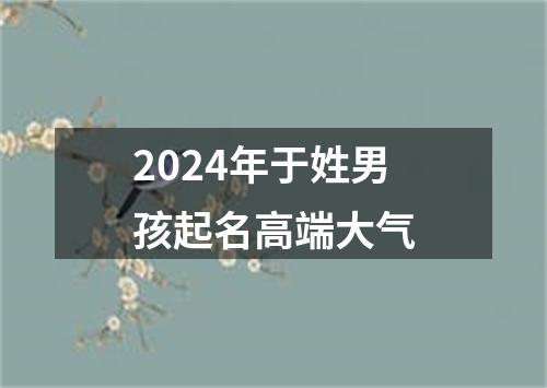 2024年于姓男孩起名高端大气