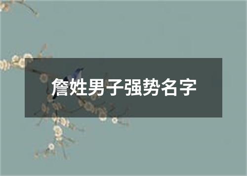 詹姓男子强势名字