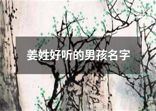 姜姓好听的男孩名字