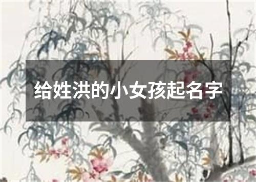 给姓洪的小女孩起名字