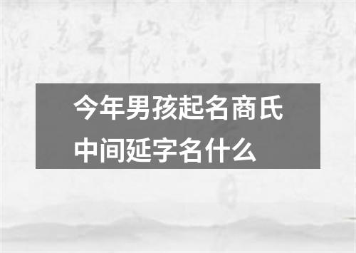 今年男孩起名商氏中间延字名什么