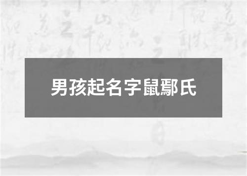 男孩起名字鼠鄢氏