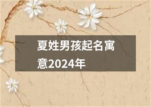 夏姓男孩起名寓意2024年