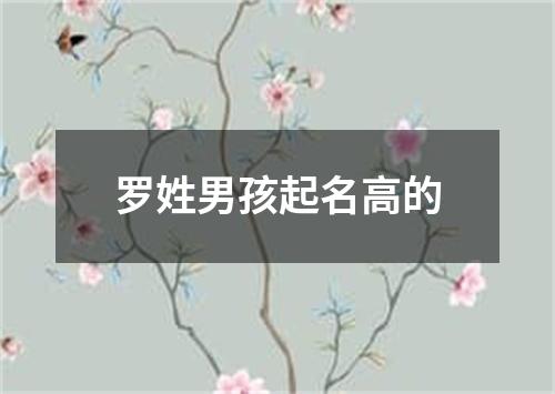 罗姓男孩起名高的