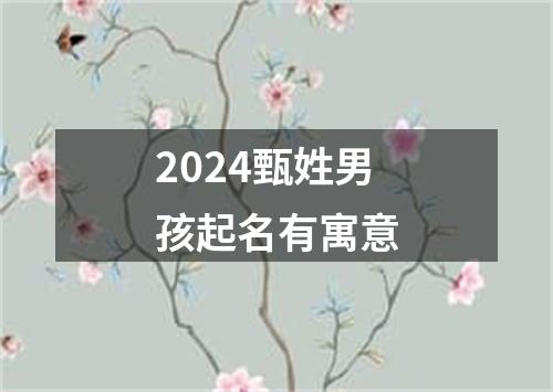 2024甄姓男孩起名有寓意