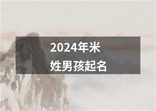 2024年米姓男孩起名