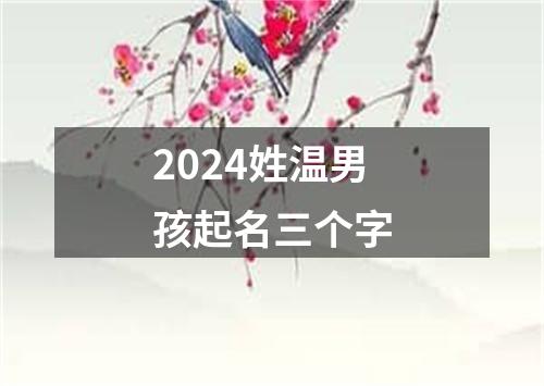 2024姓温男孩起名三个字