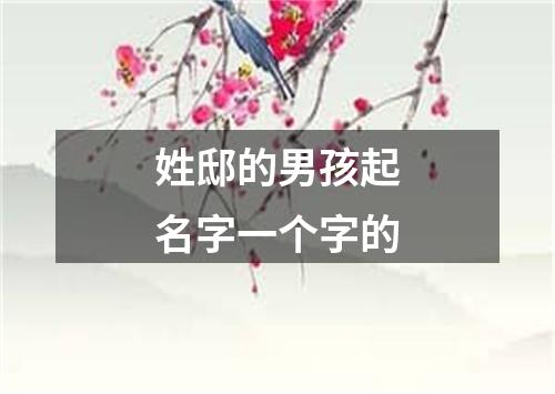 姓邸的男孩起名字一个字的