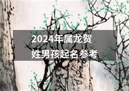 2024年属龙贺姓男孩起名参考